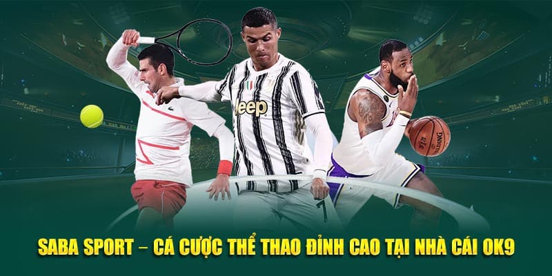 Sapa sports - cá cược thể thao đỉnh cao tại nhà cái ok9
